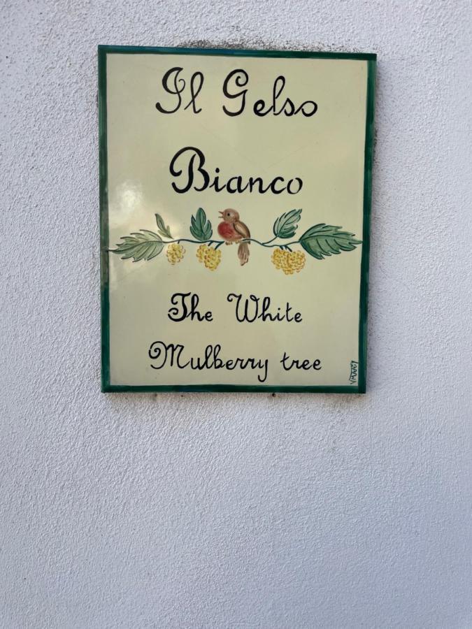 라벨로 Il Gelso Bianco -The White Mulberry Tree 빌라 외부 사진